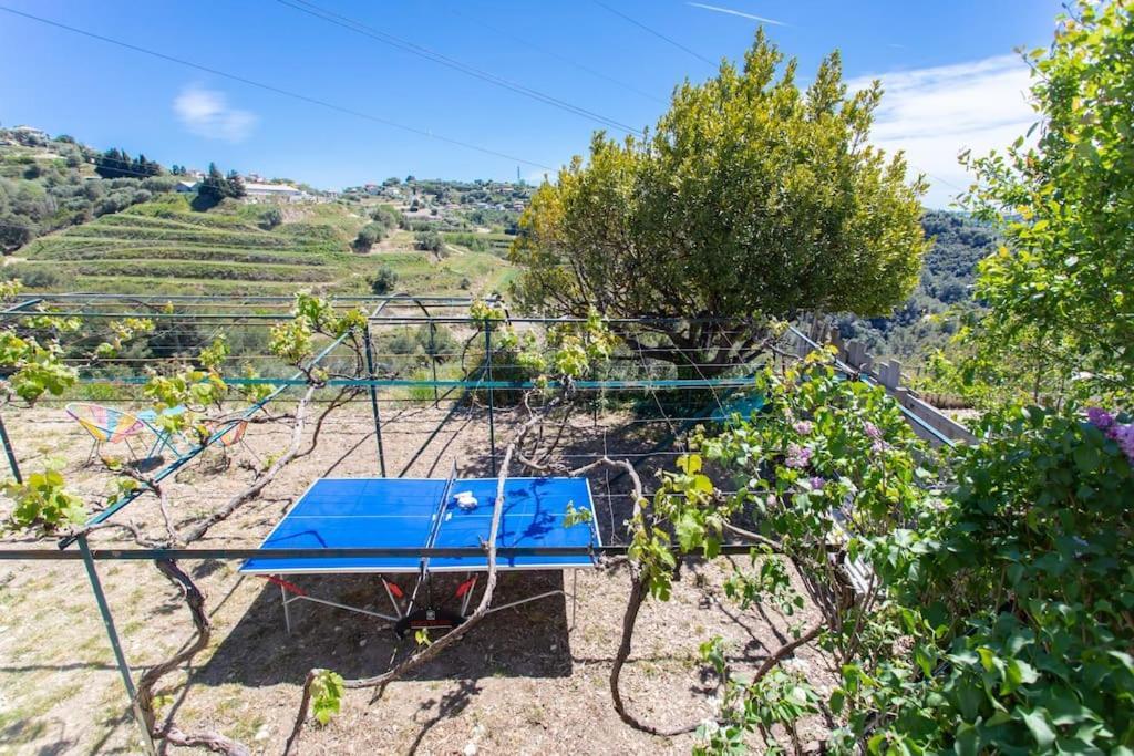 Echapee Belle - Vinayard View - Jacuzzi Bbq - Parking Apartment Nice Exterior photo